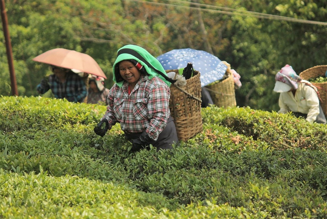 Women at work